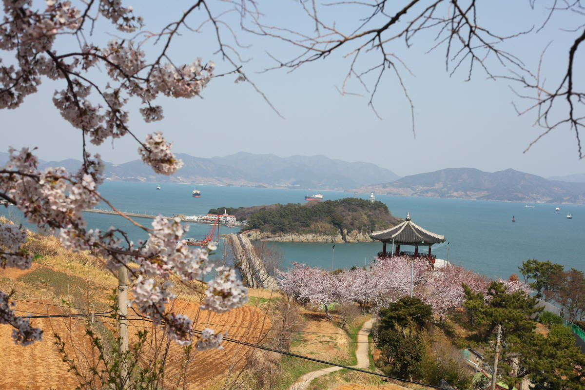 오동도
